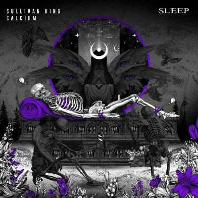 Sullivan KingWooliSleep (with Calcium)