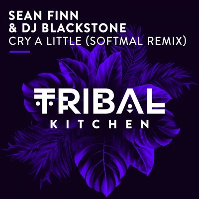 DJ Blackstone/Sean FinnCry a Little (Softmal Remix)