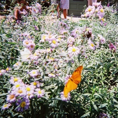 GnashLootelil tokyo (disposable)