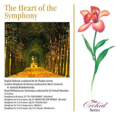 Yehudi Menuhin/William WaltonThe Heart Of The Symphony