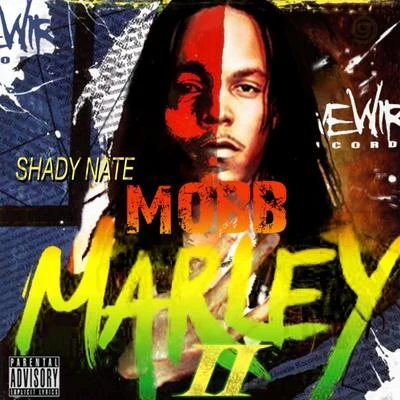 Shady NateDJ FreshJ StalinMob Marley 2