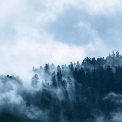 Academia de Meditação BuddhaMusica Relajante SpecialistasFabricantes De Lluvia60 Relaxing Melodies For Deep Sleep