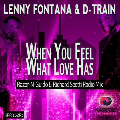 D-TrainWhen You Feel What Love Has