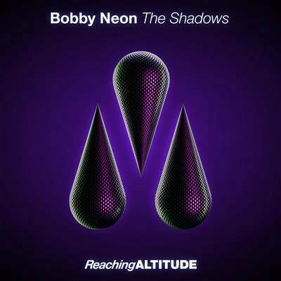 Bobby NeonThe Shadows