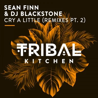 DJ Blackstone/Sean FinnCry a Little (Remixes Pt. 2)