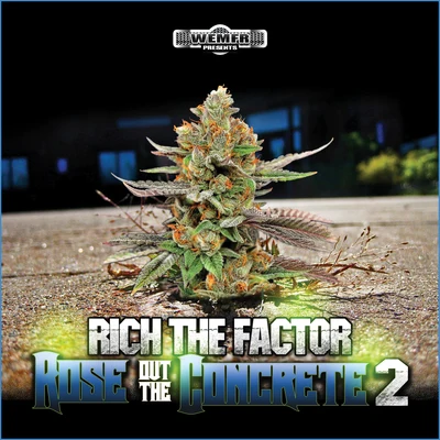 Rich The FactorRose Out The Concrete 2