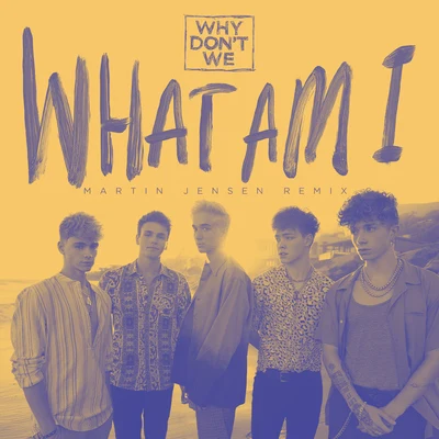 Why Don't We/SondrWhat Am I (Martin Jensen Remix)