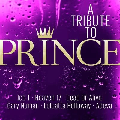 Loleatta Holloway/Gregor SaltoTribute To Prince