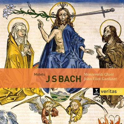 John Eliot GardinerWolfgang Amadeus MozartEnglish Baroque SoloistsMonteverdi ChoirLorenzo Da PonteRod (Rodney) GilfryBach: Motets BWV 225-231, Cantatas BWV 50 & 118