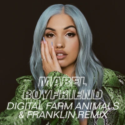 Fight/FranklinBoyfriend (Digital Farm Animals & Franklin Remix)