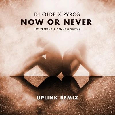 Denham Smith/Calligra/Pyros/DJ Olde/TreeshaNow or Never (feat. Treesha & Denham Smith) [Uplink Remix]