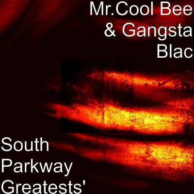 Gangsta Blac/Blackout/Terror/PEANUTSouth Parkway Greatests