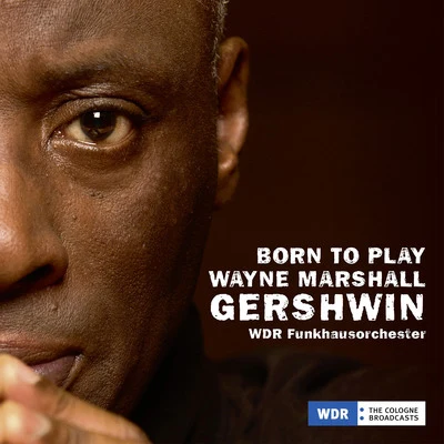 Wayne MarshallMavadoBorn to Play, Wayne Marshall, Gershwin