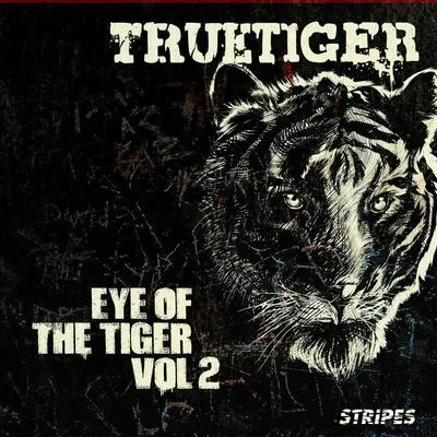 True TigerEye Of The Tiger Volume 2