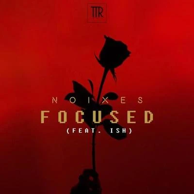 NOIXESFocused