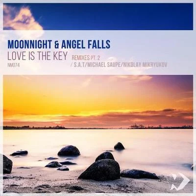 Angel FallsLove Is the Key (Remixes)