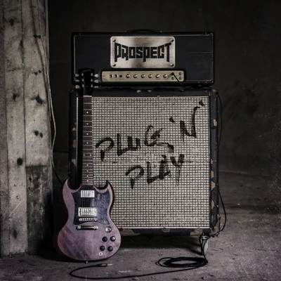 Prospect/David CorreyPlugnplay