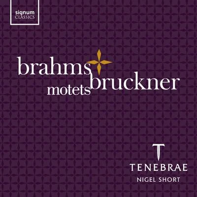 Anton BrucknerBerlin Radio Orchestra風戸慎介Brahms & Bruckner: Motets