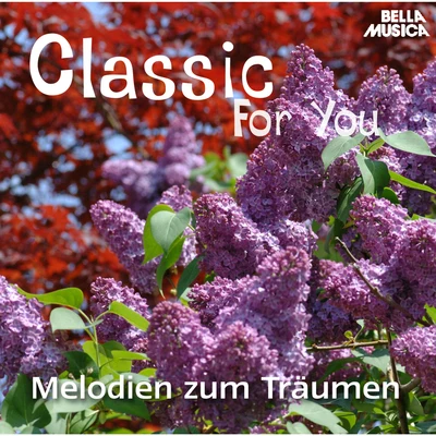 Slovak State Philharmonic Orchestra/Johannes WildnerClassic for You: Melodien zum Träumen