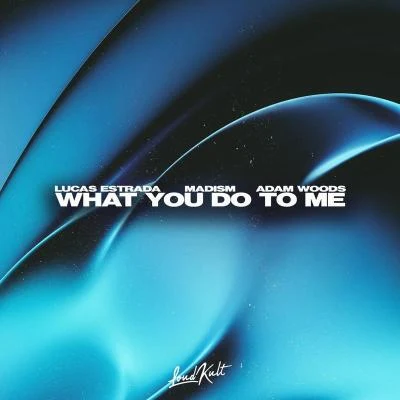 Madism/Vitor Kley/Samuel RosaWhat You Do To Me