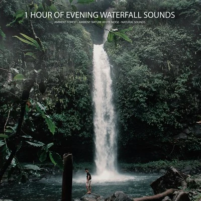 Ambient Nature White NoiseEasy Sleep MusicStudying Music1 Hour of Evening Waterfall Sounds