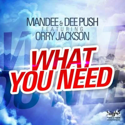 MandeeOrry JacksonDee PushWhat You Need