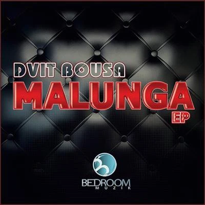 Dvit Bousa/Dj WadyMalunga