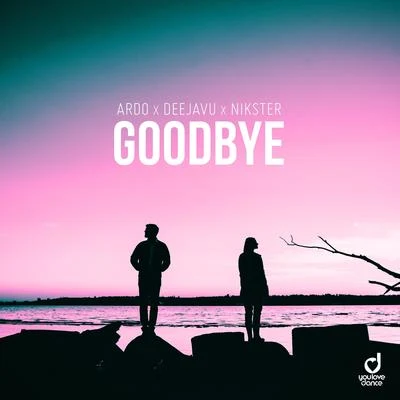 NiksterGoodbye