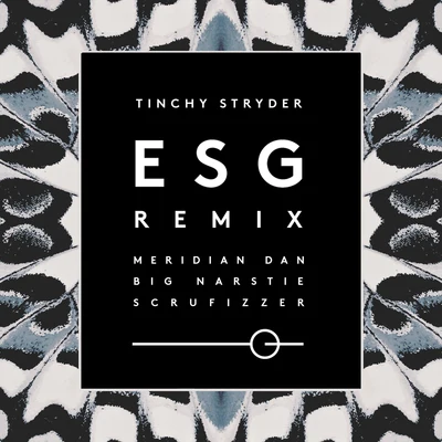 Tinchy StryderESG (Remix)