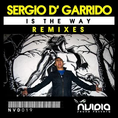 Sergio D GarridoIs the Way Remixes