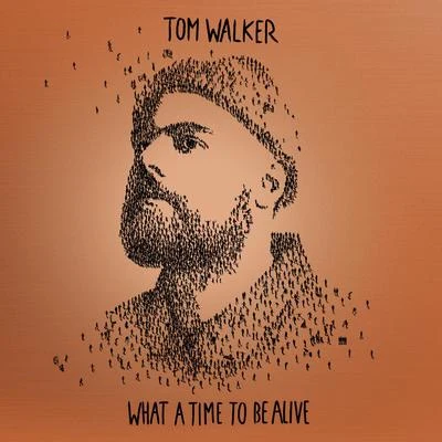 Vanessa Da Mata/Selton/Tom Walker/Marco MengoniWhat a Time To Be Alive (Deluxe Edition)