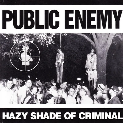 Public EnemyHazy Shade of Criminal