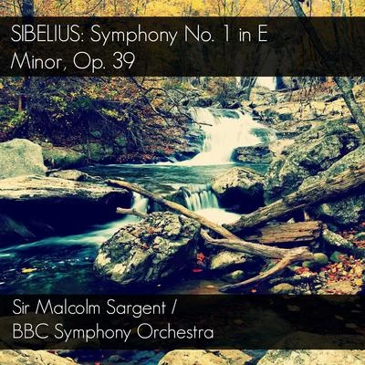 Jean SibeliusSibelius: Symphony No. 1 in E Minor, Op. 39