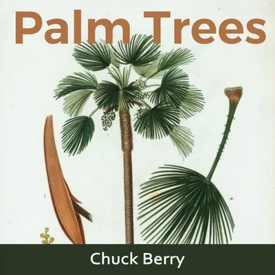 Chuck BerryThe RoutersPalm Trees