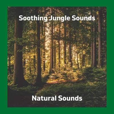 Natural Sounds/Meditation Rain Sounds/nature & Sounds BackgroundSoothing Jungle Sounds