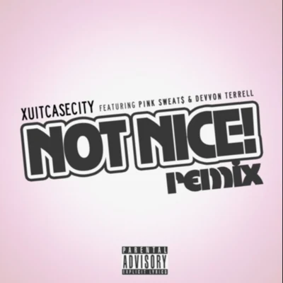 XUITCASECITYNot Nice (Remix)