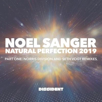 Abdomen Burst/Noel Sanger/Schodt/Aeron Aether/Shingo Nakamura/Dan Sieg/Jacob Henry/Mizar B/Elfsong/CravingNatural Perfection (2019 Remixes - Part 1)