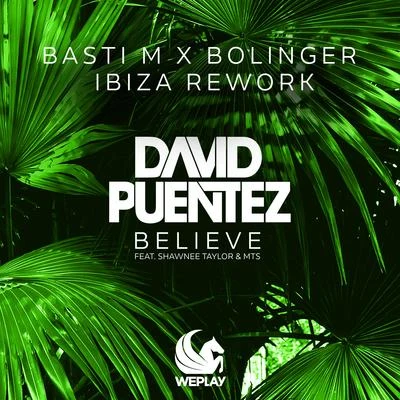 David Puentez/Albert NeveBelieve (Basti M x Bolinger Ibiza Rework)