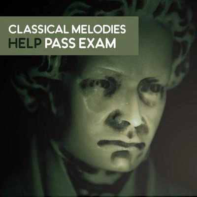 Villa Musica Ensemble/Classical Music Songs/Leonard HokansonClassical Melodies Help Pass Exam – Music for Study, Mozart, Beethoven to Work, Focus, Pure Mind, Stress Relief