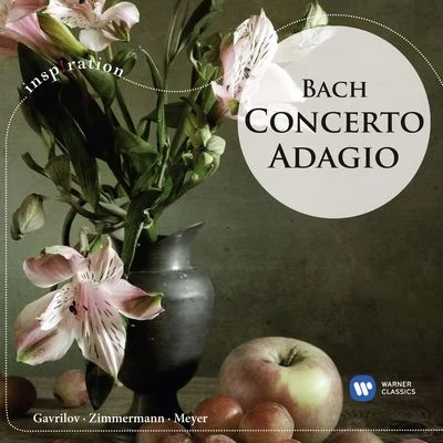 Andrei GavrilovConcerto Adagio: Bach