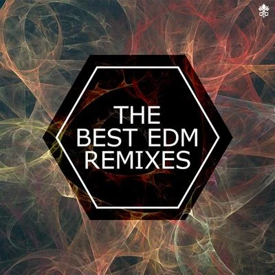 TobuRanza DivenWinson PrudenThe Best EDM Remixes