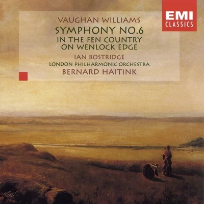 Bernard Haitink/Wiener Philharmoniker/Vladimir AshkenazyVaughan Williams: Symphony No. 6 In the Fen Country On Wenlock Edge