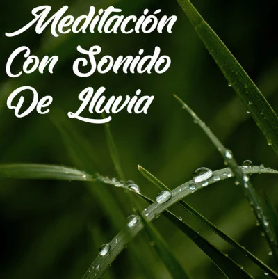 Música Instrumental MaestroSonidos de la Naturaleza RelaxMusica Relajante SpecialistasSonidos De Lluvia: Meditación Con Sonido De Lluvia En Bucle, Sonido Relajante De Lluvia, Sonidos Ambientales Relajantes, Música De Yoga Y Masaje