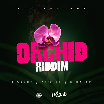 D MajorOrchid Riddim