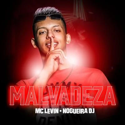 MC LevinMalvadeza