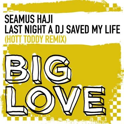 Seamus HajiLast Night A DJ Saved My Life