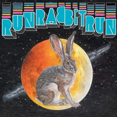 Sufjan StevensRun Rabbit Run