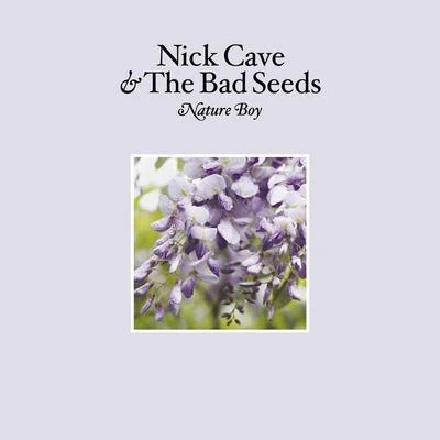 Nick Cave & the Bad SeedsNature Boy