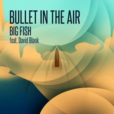 Kende/David Blank/Big FishBullet In The Air