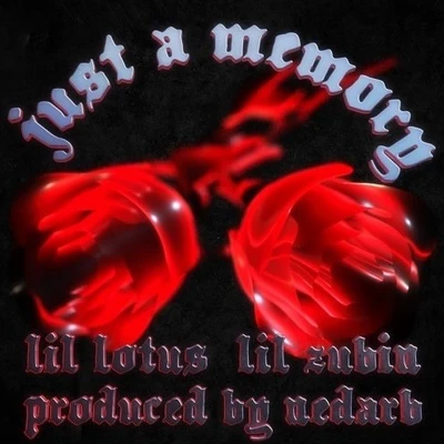 Lil Lotus/nedarb/BRENNAN SAVAGEjust a memory